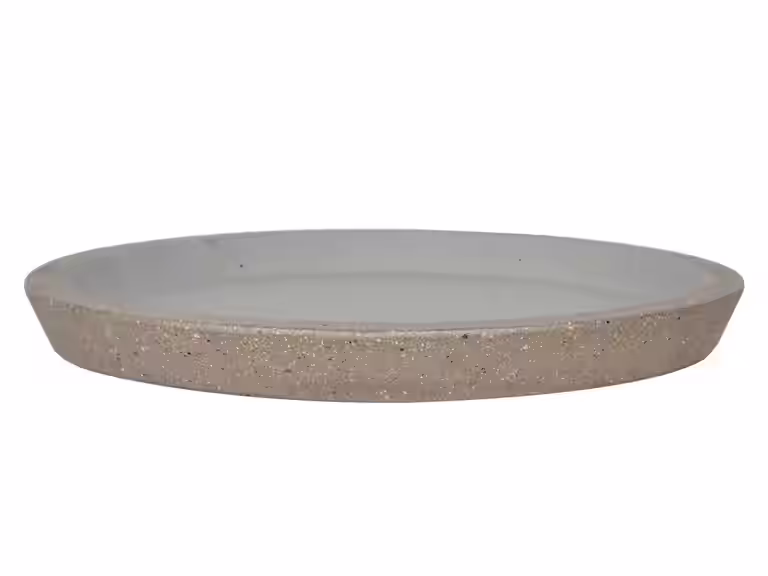 Saucer Joel 