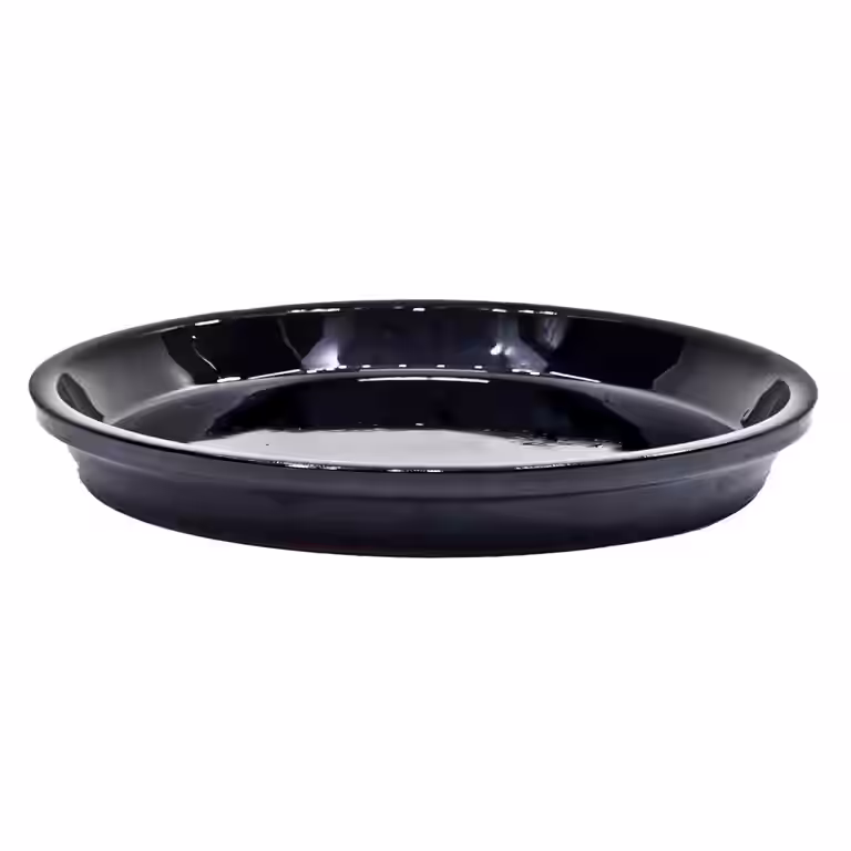 Saucer Nova