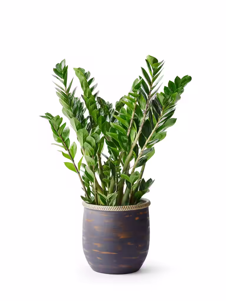 Patrik pot D32 grey