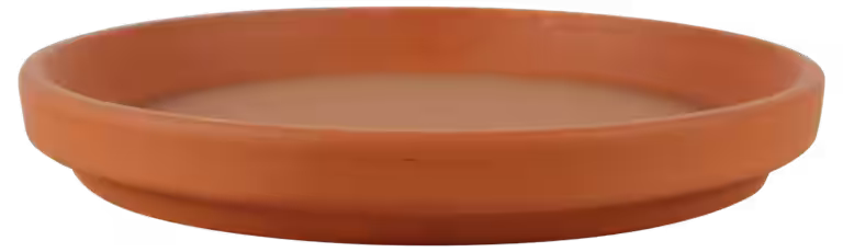 Saucer D24 w/s terracotta