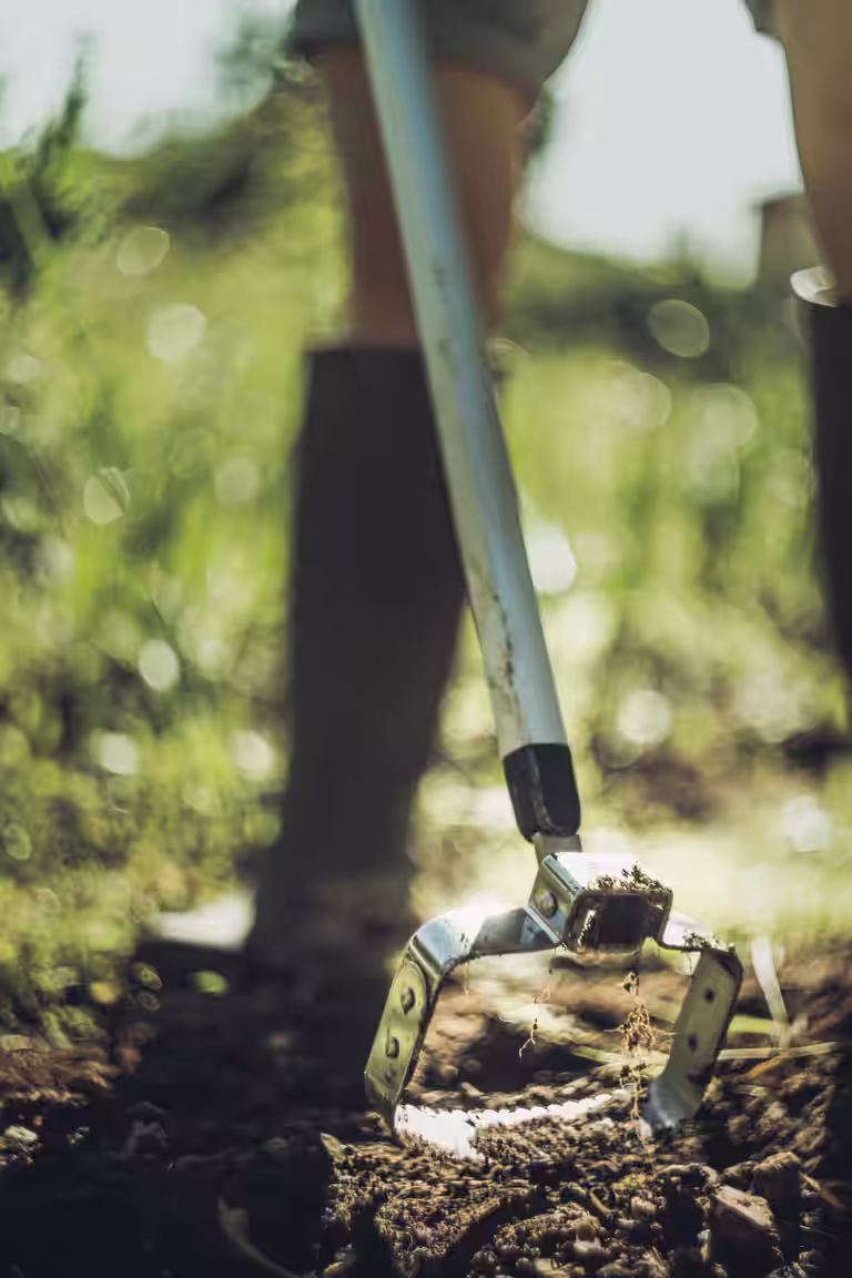 Xact Push-Pull Weeder