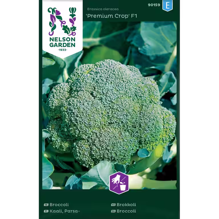 Brokkoli 'Premium Crop' F1