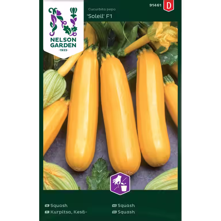 Squash, Soleil F1