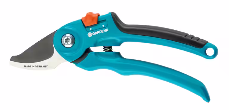 Secateurs B/S