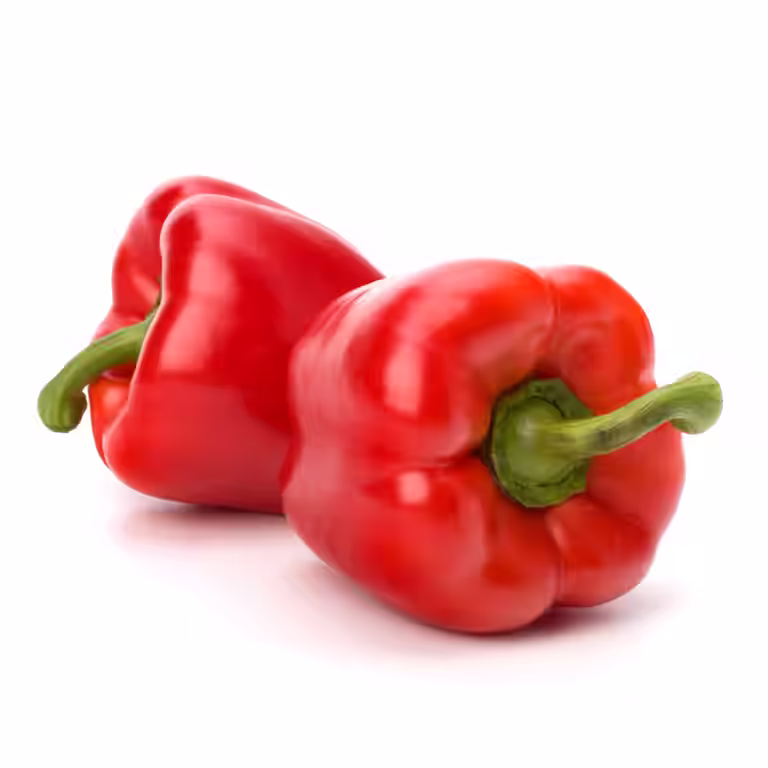 All N. Capsicum Pepper 'Robertina' 10,5 cm