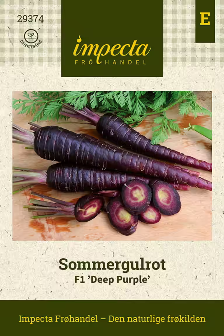 Daucus carota F1 'Deep Purple'