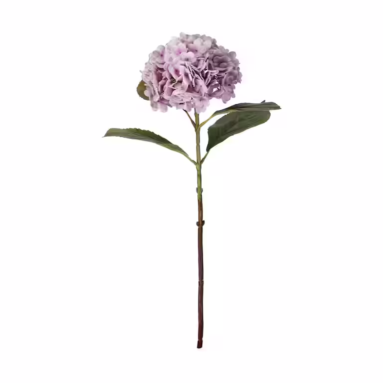 Hortensia snitt kunstig
