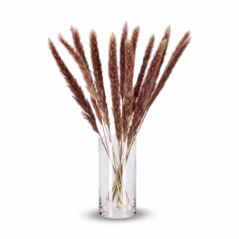 Fluffy Pampas Naturel