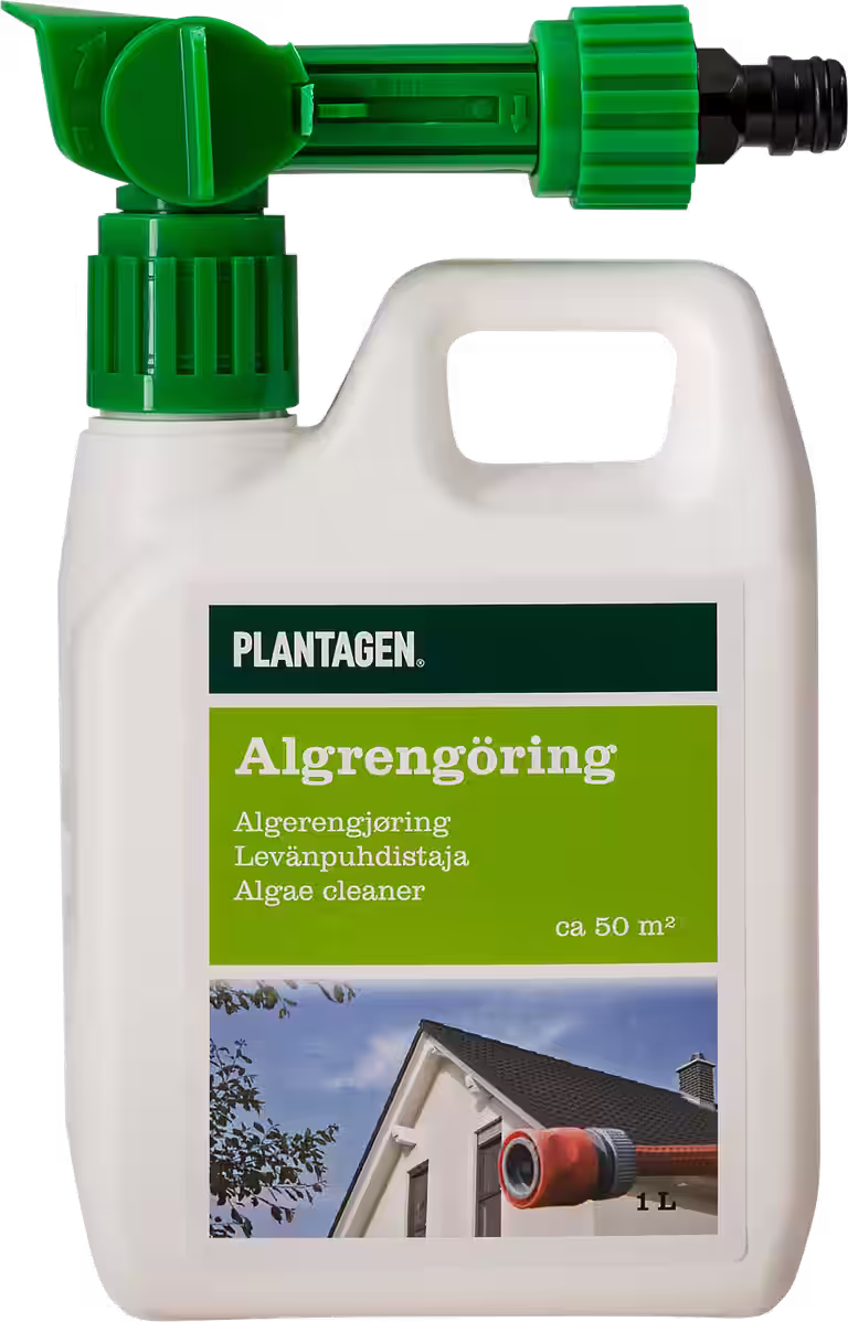 Plantagen Algae And Fouling