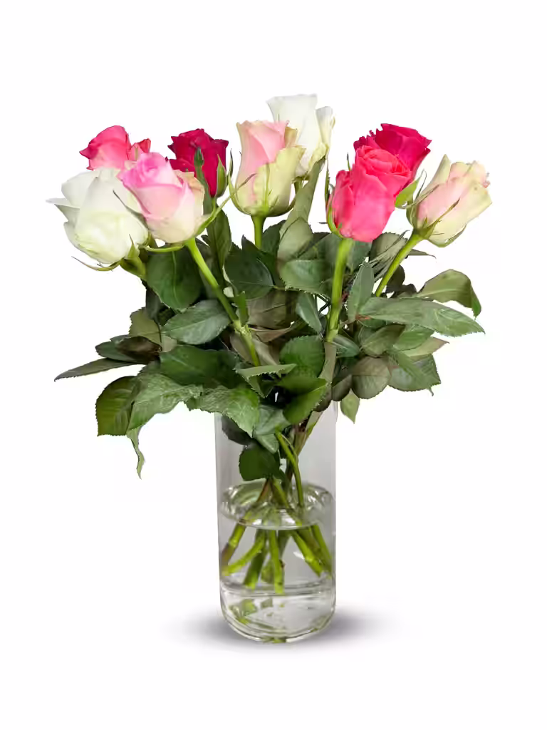 Roses 9-pack