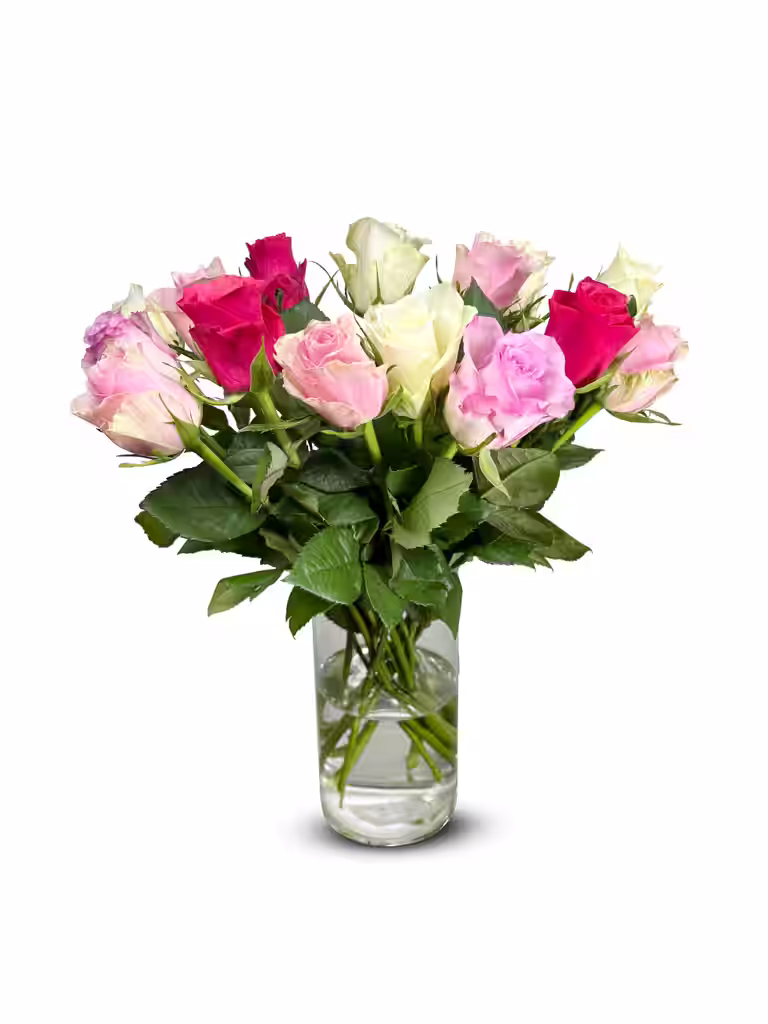 Rosa Rainbow 40cm