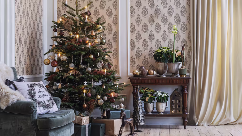 Slik lykkes du med juletreet – tips og råd om stell 