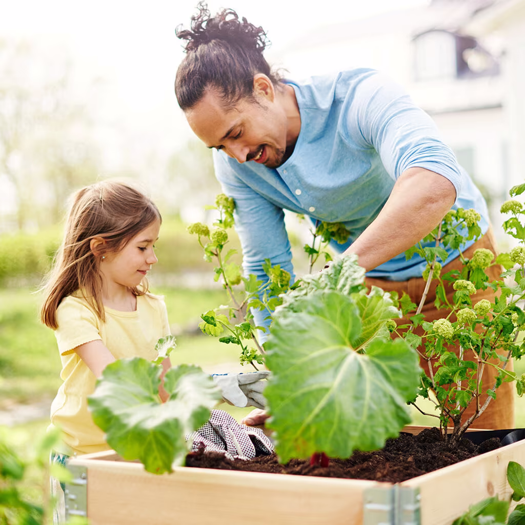 Hvor mange planter får du plass til i en plantekasse? 