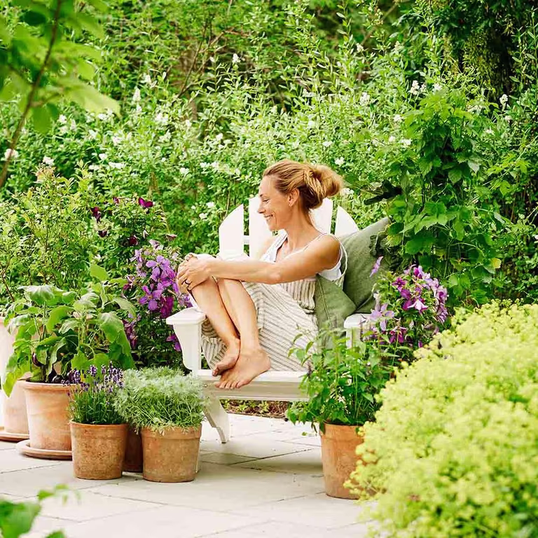 Garden calendar for the summer – what you can do in the garden now