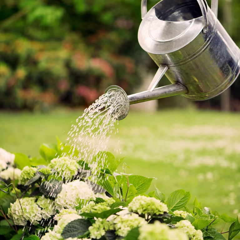 Here's how to prepare your garden for the holiday
