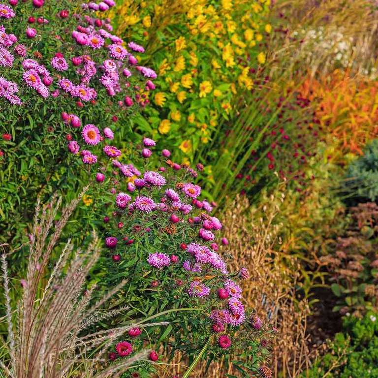 Extend summer in the garden