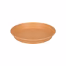 Saucer Green basics
