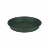Saucer Green Basics