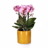 Ada pot D13 yellow